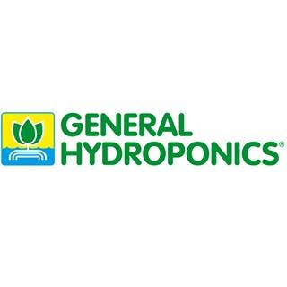 Ghe